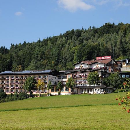 Wellness- Und Ferienhotel Waldesruh Bodenmais Kültér fotó
