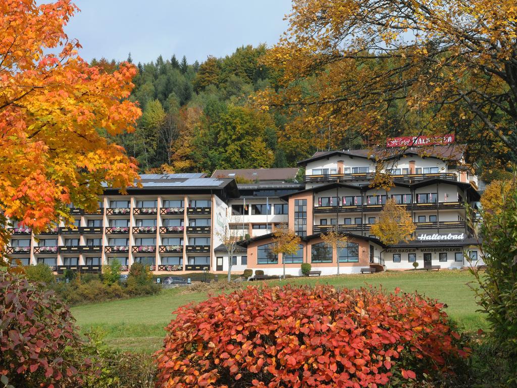 Wellness- Und Ferienhotel Waldesruh Bodenmais Kültér fotó
