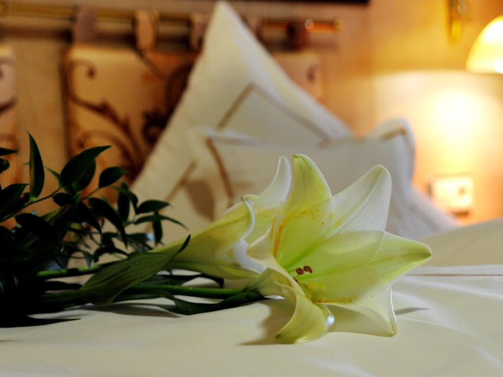 Wellness- Und Ferienhotel Waldesruh Bodenmais Szoba fotó